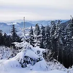 Chalet Sowie Chatki - Z Widokiem Na Gory Sowie