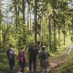 Chalet Sowie Chatki - Z Widokiem Na Gory Sowie *