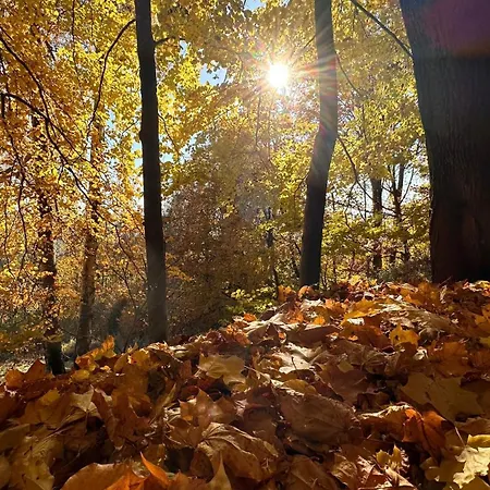 Sowie Chatki - Z Widokiem Na Gory Sowie Chalet Sokolec