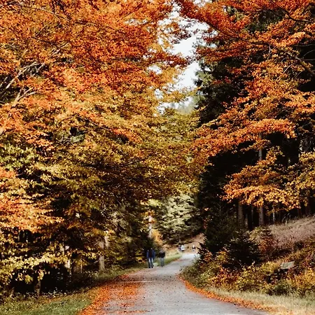 Sowie Chatki - Z Widokiem Na Gory Sowie *