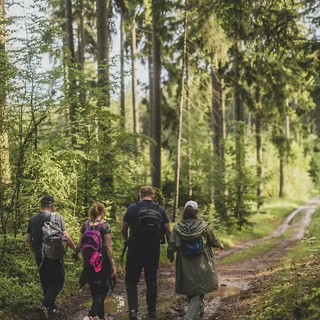 Alpesi faház Sowie Chatki - Z Widokiem Na Gory Sowie *