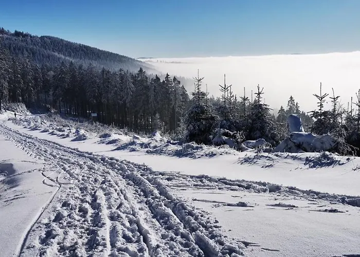 Sowie Chatki - Z Widokiem Na Gory Sowie * Sokolec