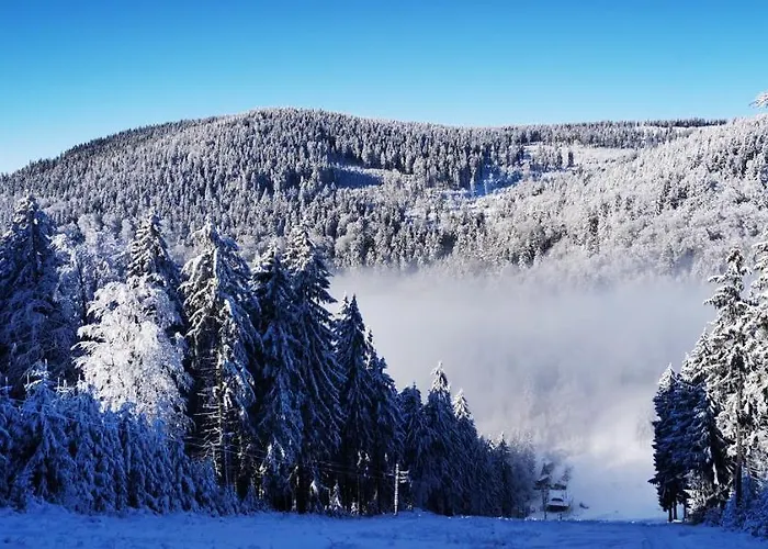 Sowie Chatki - Z Widokiem Na Gory Sowie *