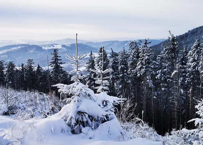 Chalet Sowie Chatki - Z Widokiem Na Gory Sowie