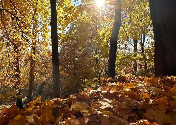 Sowie Chatki - Z Widokiem Na Gory Sowie Chalet Sokolec
