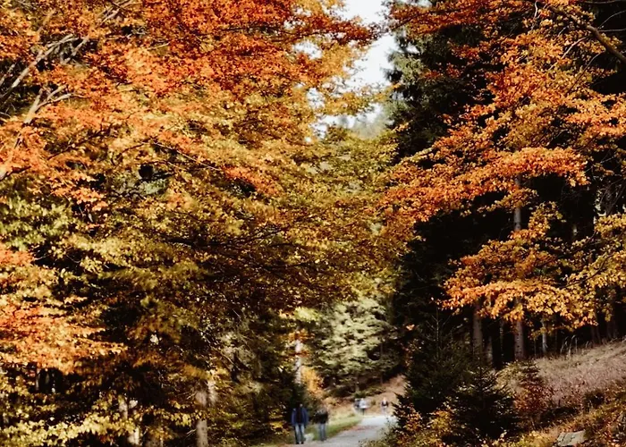 Sowie Chatki - Z Widokiem Na Gory Sowie *