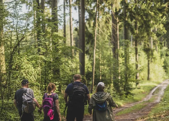 Chalet Sowie Chatki - Z Widokiem Na Gory Sowie *