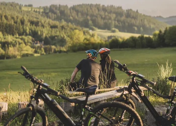 Chalet Sowie Chatki - Z Widokiem Na Gory Sowie *